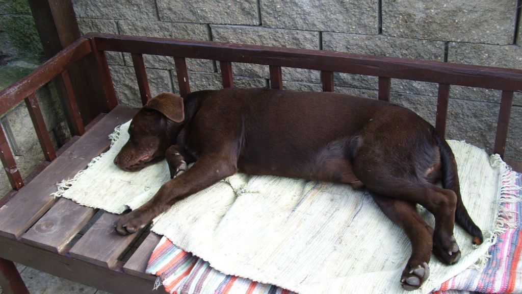 24.8.2009 015.jpg