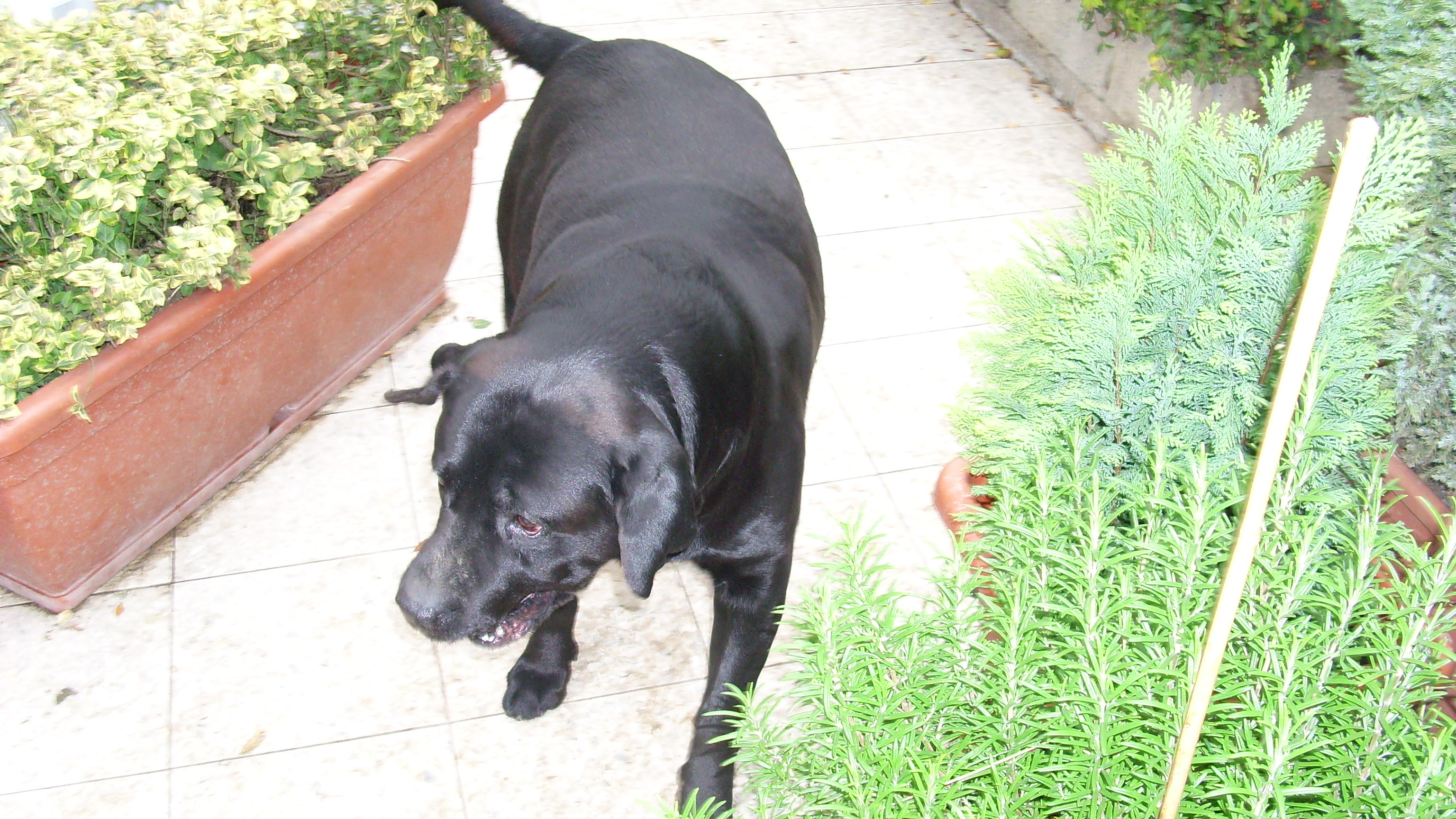 15.11.2009 002.jpg