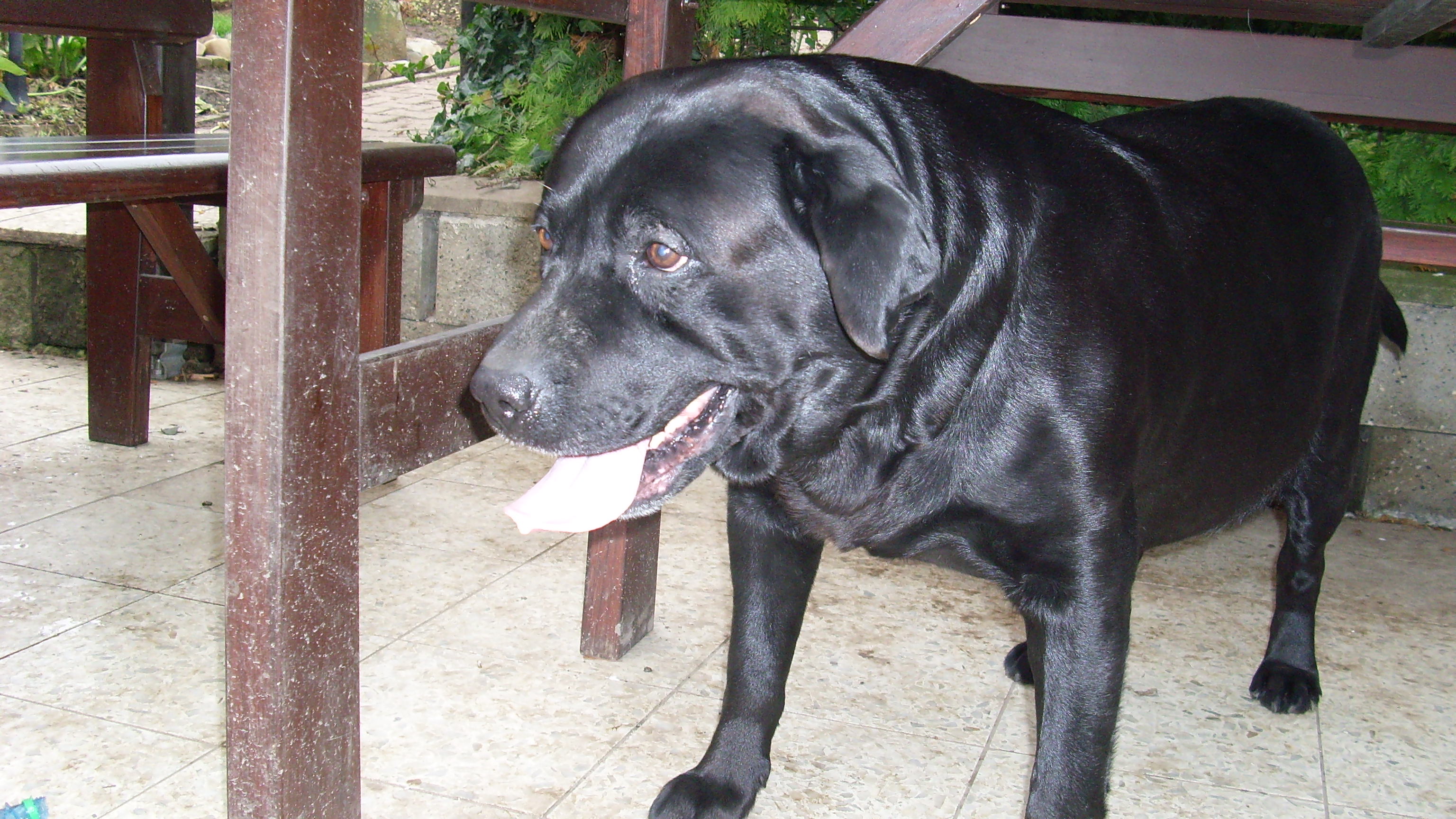 15.11.2009 004.jpg