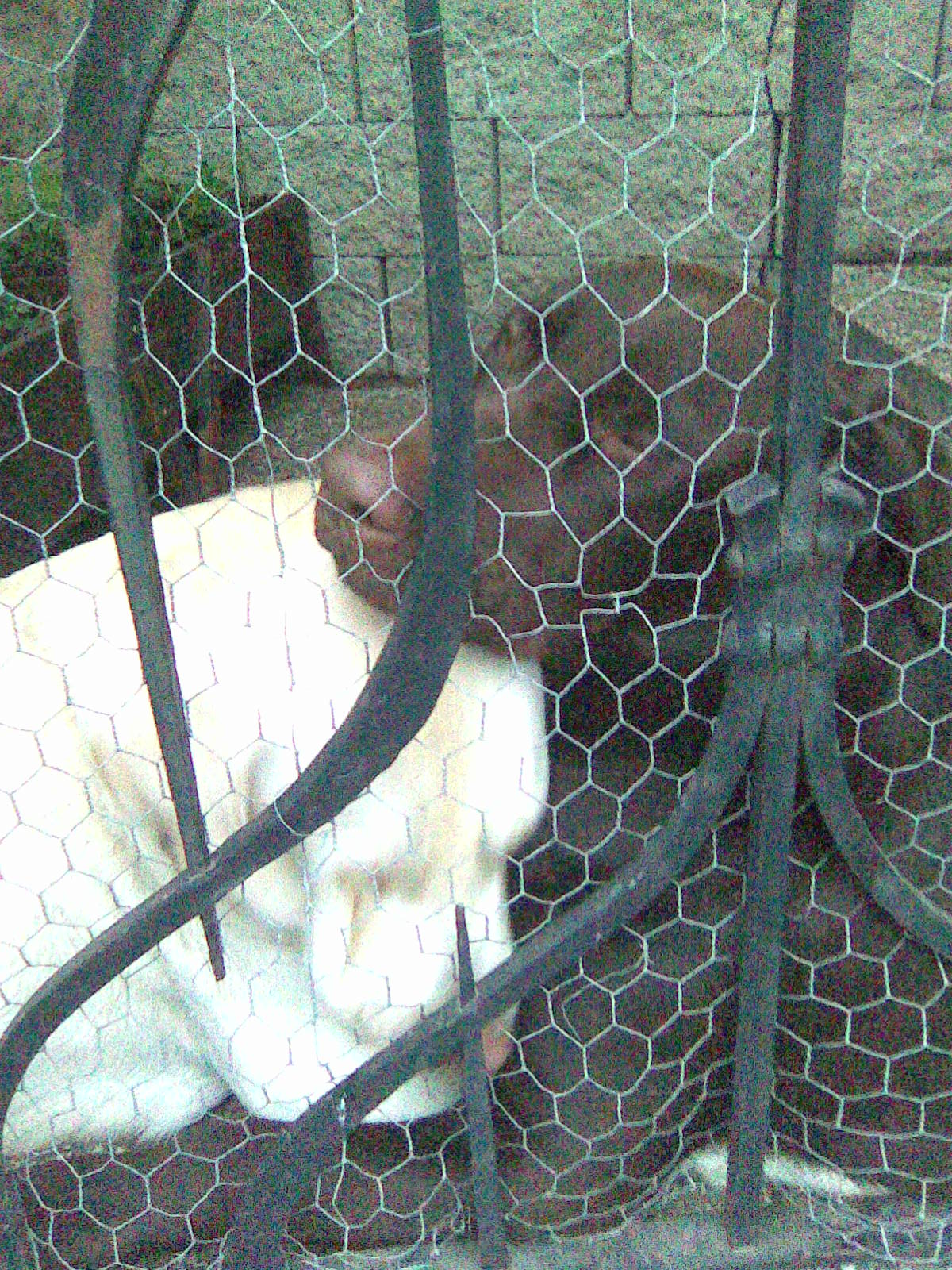 25.11.2009 001.jpg