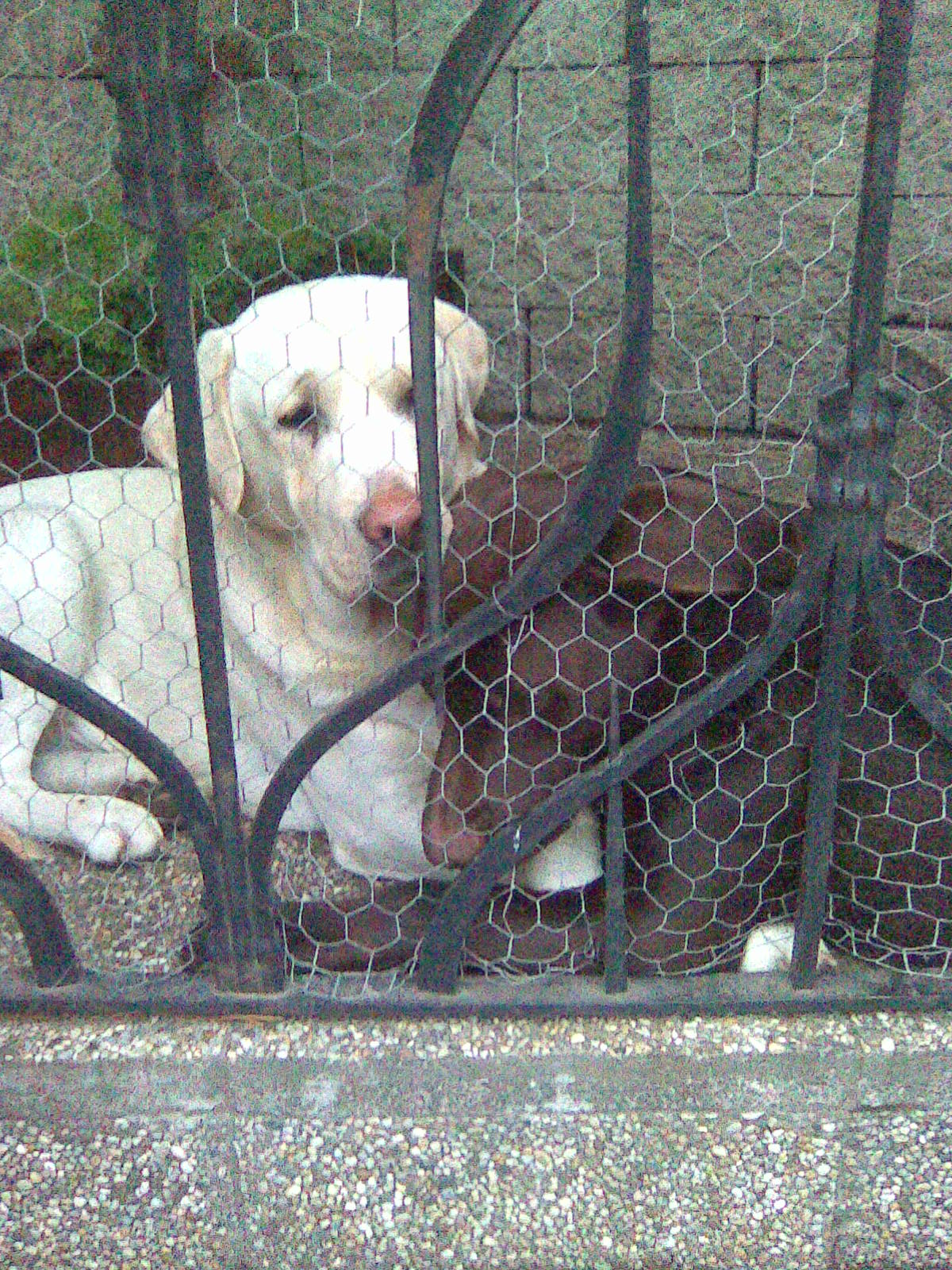 25.11.2009 002.jpg