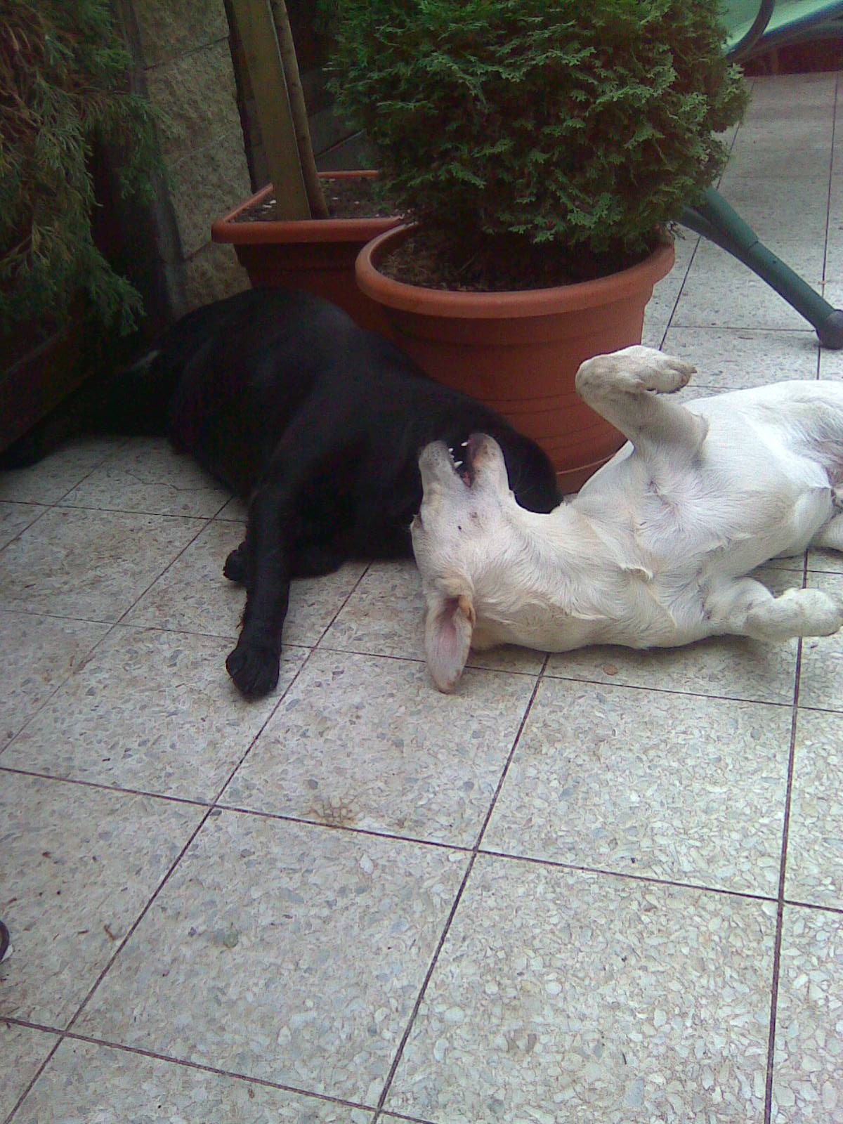 25.11.2009 004.jpg