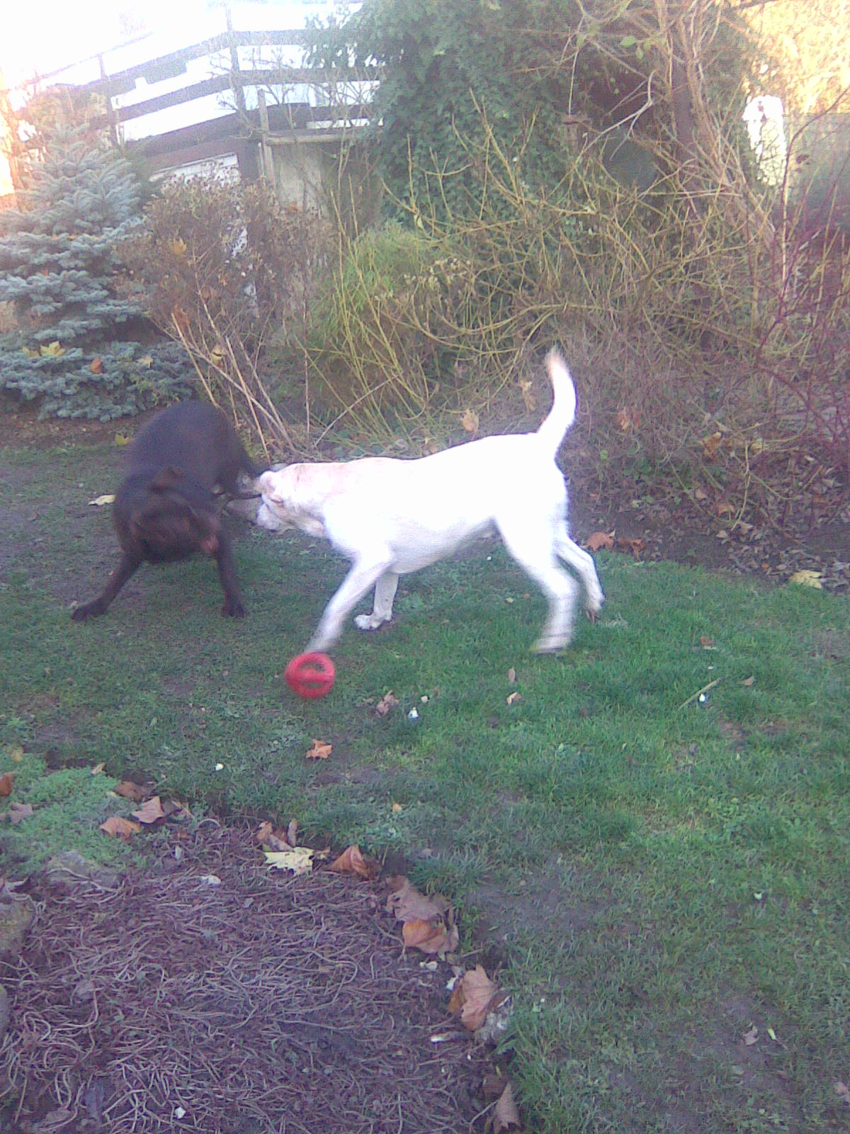 25.11.2009 005.jpg