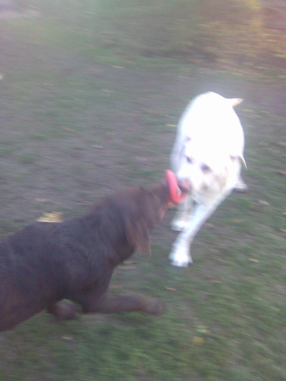 25.11.2009 010.jpg